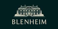 Blenheim Homes & Land - Sheffield logo