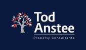 Tod Anstee - Chichester logo