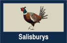 Salisburys, Tavistock logo