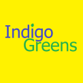 Indigo Greens, York logo