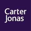 Carter Jonas - Wandsworth logo